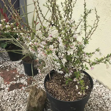 Charming In The Normandy Countryside Casa de Férias *