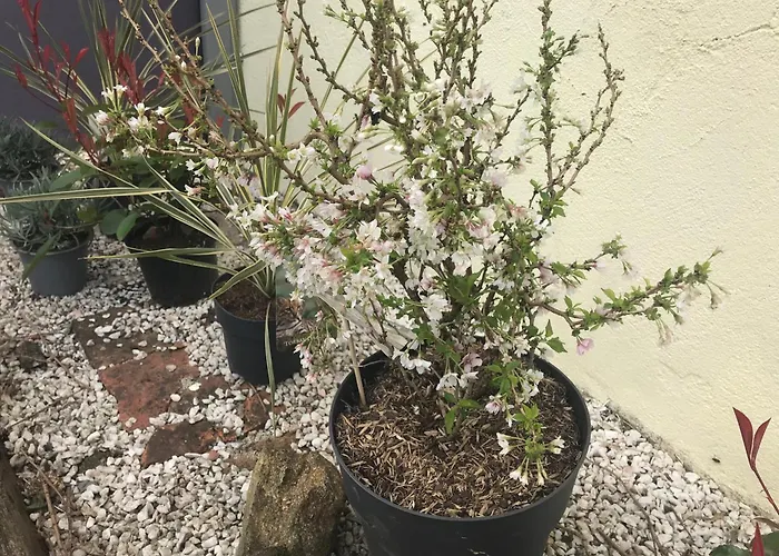 Charming In The Normandy Countryside Holiday home *