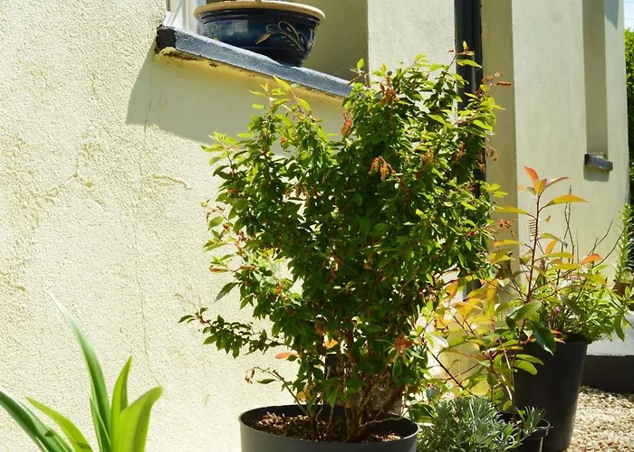 Charming In The Normandy Countryside Holiday home *